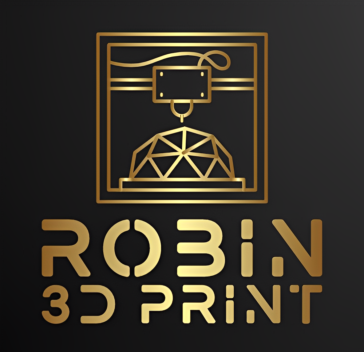 Robin 3D Print
